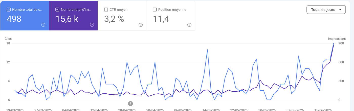 Croissance du trafic Vision Plus (Google Search Console)