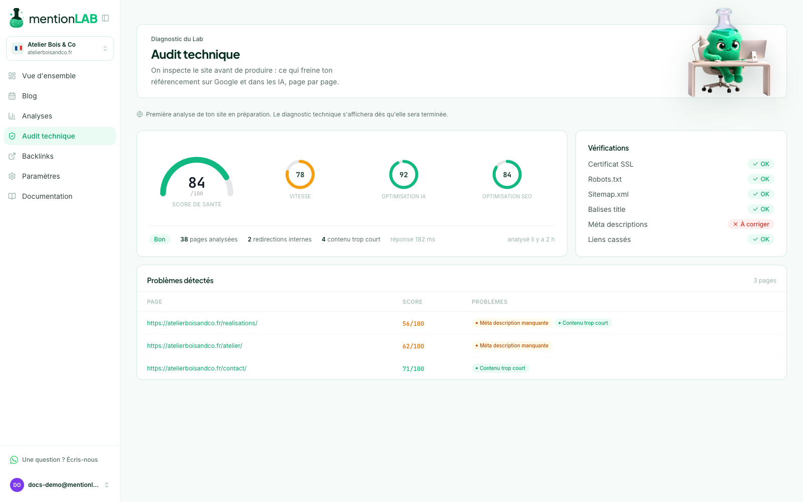 The technical audit: scores, checks and pages to fix